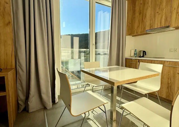 Czarna Góra 220 Apartament 3*